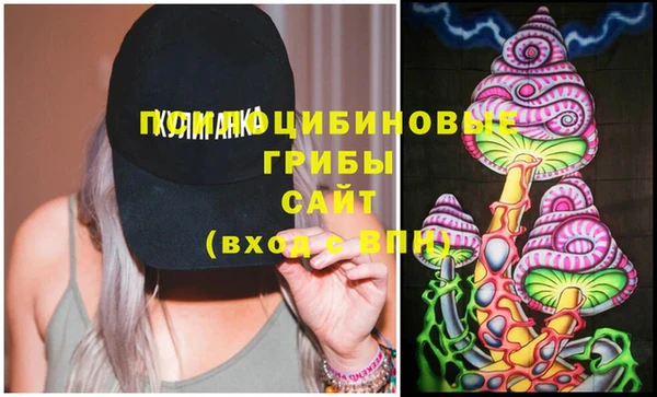 твердый Сатка