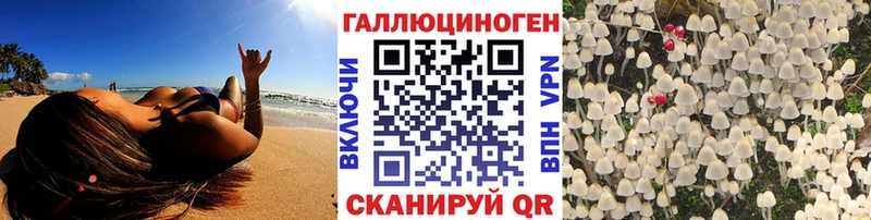 цена   Высоцк  Псилоцибиновые грибы ЛСД 